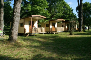 CAMPING AMALASUNTA Montefiascone